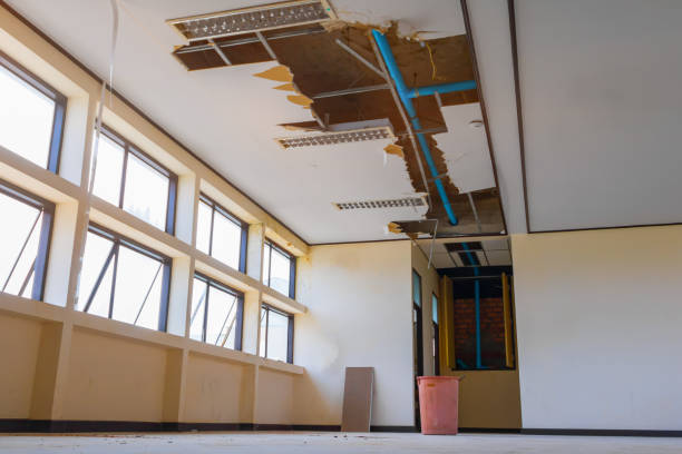 Best Mold removal after water damage  in Bel Nor, MO