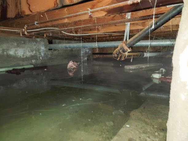 Best Ceiling water damage repair  in Bel Nor, MO