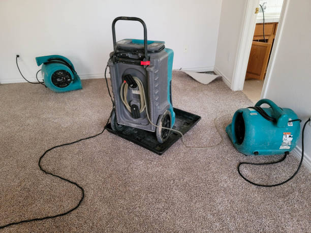 Best Flooded house restoration  in Bel Nor, MO