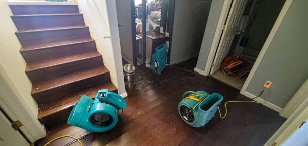 Best 24-hour water damage restoration  in Bel Nor, MO