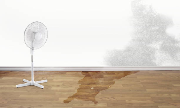 Best Commercial water damage restoration  in Bel Nor, MO