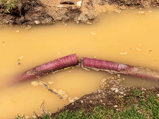Best Water damage cleanup near me  in Bel Nor, MO