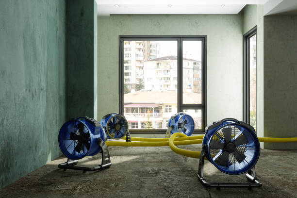 Best Water damage restoration near me  in Bel Nor, MO